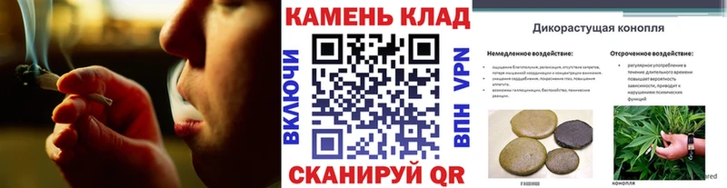 наркотики  Спасск  ГАШ индика сатива 