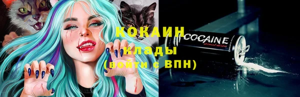 a pvp Алзамай