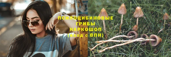 a pvp Алзамай