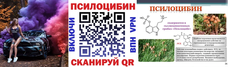 Галлюциногенные грибы мухоморы Спасск